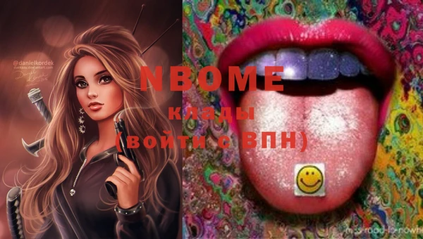 СК Медвежьегорск